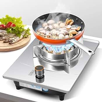 Amazon.com: Gas Stove - Stainless Steel Cooktop Burner